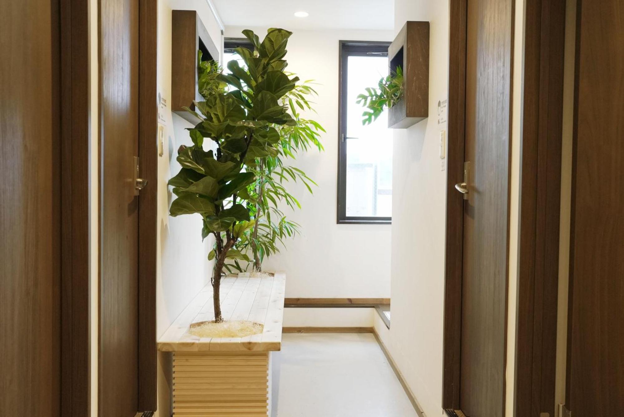 Albergue Ueno